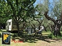 0153 camping